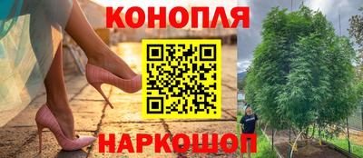 таблы Камышлов