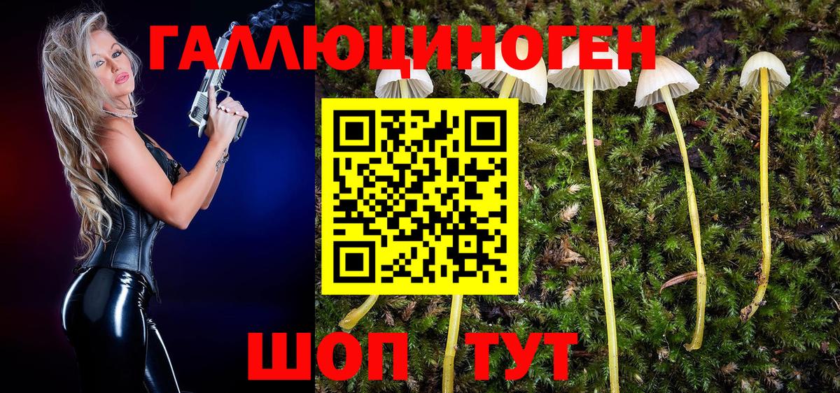 Михайловка  Галлюциногенные грибы GOLDEN TEACHER  Вход с VPN 