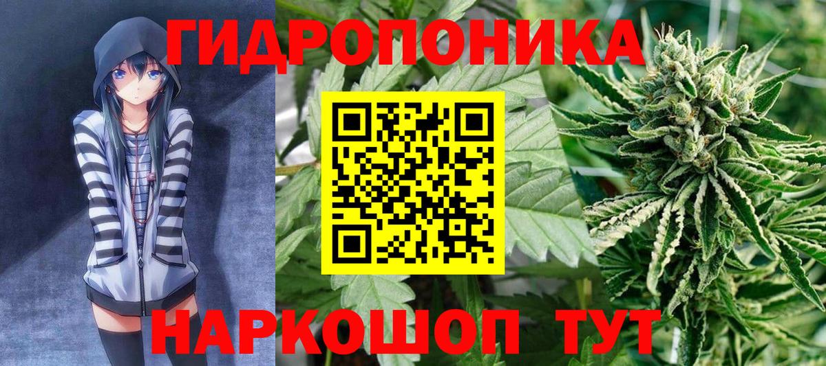 Бошки Шишки планчик  Шишки марихуана гибрид  Вход с VPN  Михайловка 
